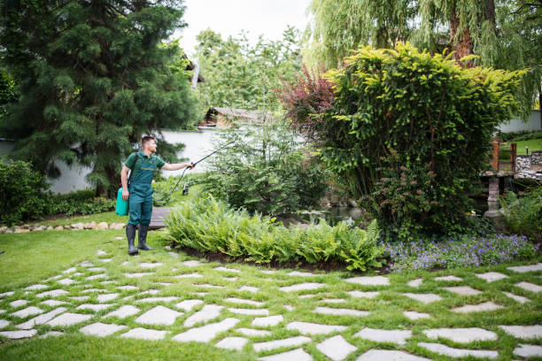 Best Ant Control Services  in Bellevue, KY