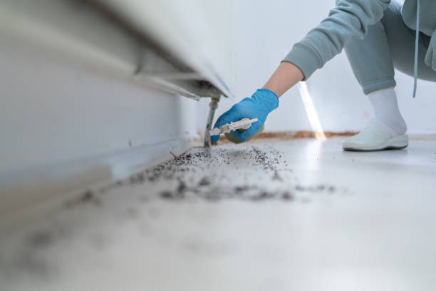 Best Commercial Pest Control Services  in Bellevue, KY